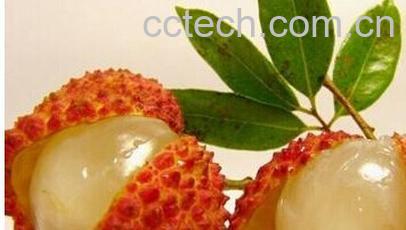 果蔬百科荔枝和杏仁-0