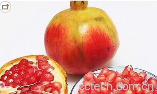 果蔬百科石榴-0