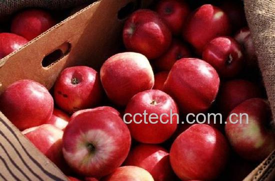 果蔬百科苹果-0