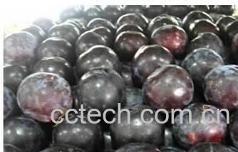 果蔬百科黑布林-0