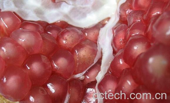 果蔬百科白石榴和红石榴-0