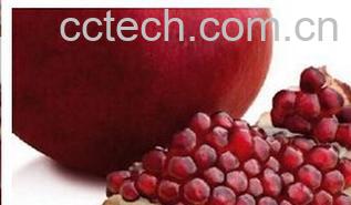 果蔬百科石榴皮-0