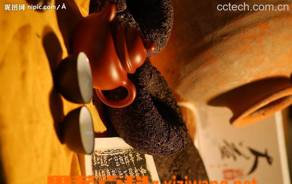 果蔬百科普洱茶的功效与禁忌-0