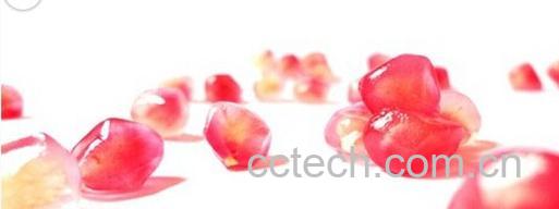 果蔬百科石榴子-0