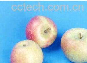 果蔬百科国光苹果-0