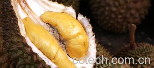 果蔬百科榴莲籽-0