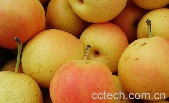 果蔬百科南果梨-0