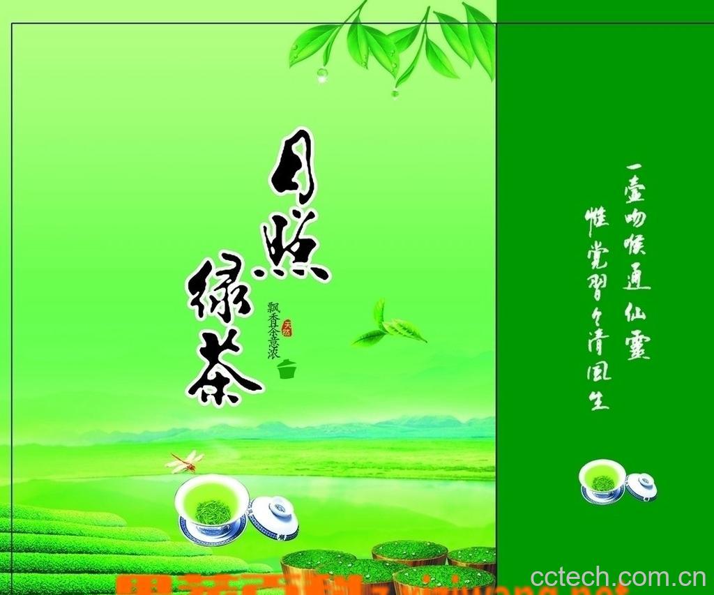 果蔬百科日照绿茶的冲泡方法-0