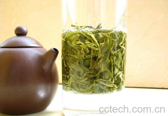 果蔬百科日照绿茶的功效与作用-0