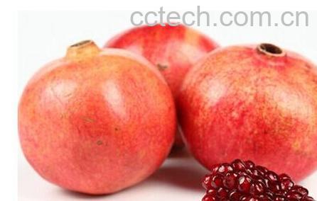 果蔬百科石榴籽-0