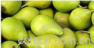 果蔬百科法兰西梨-0