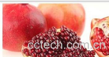 果蔬百科石榴皮-0