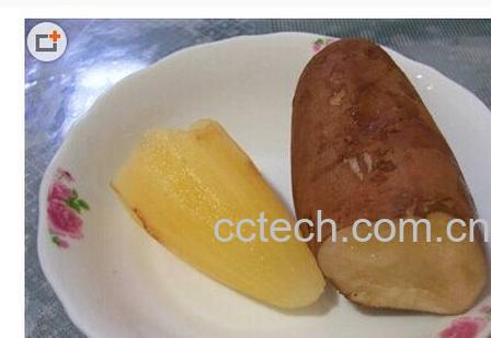 果蔬百科雪莲果-0