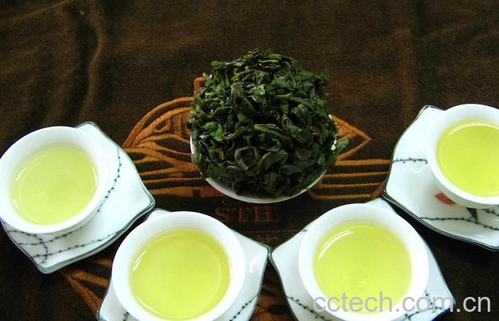 果蔬百科乌龙茶属于什么茶-0