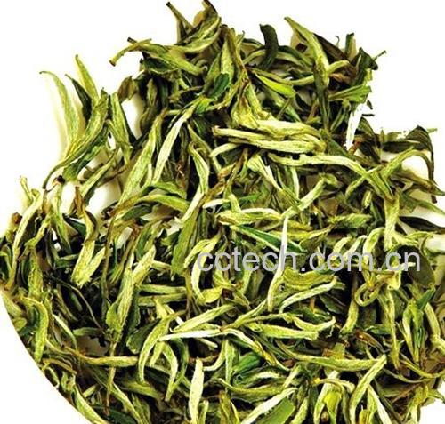 果蔬百科夏天喝白茶好吗-0