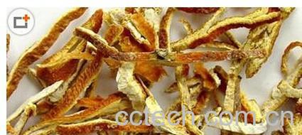 果蔬百科橘子皮-0