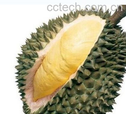 果蔬百科榴莲核-0