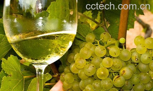 果蔬百科霞多丽-0