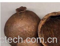 果蔬百科石榴皮-0