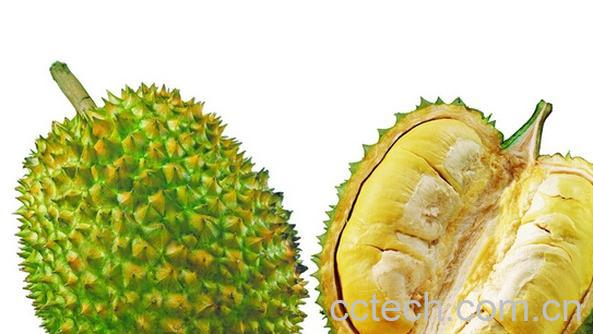 果蔬百科夏天榴莲怎么存放-0