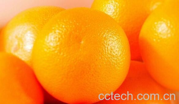 果蔬百科甜橙-0