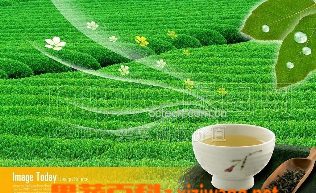 果蔬百科长期喝绿茶有没有坏处-0