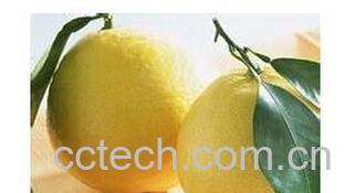 果蔬百科柚子-0