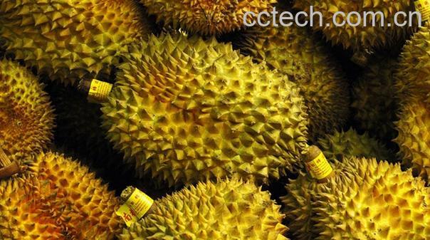 果蔬百科榴莲-0