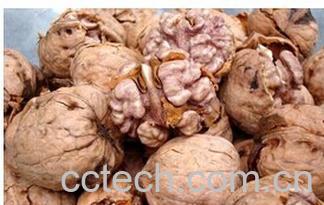 果蔬百科核桃-0