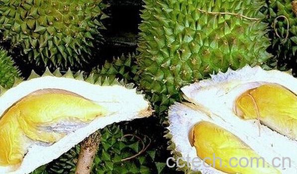 果蔬百科月子期间能吃榴莲吗-0