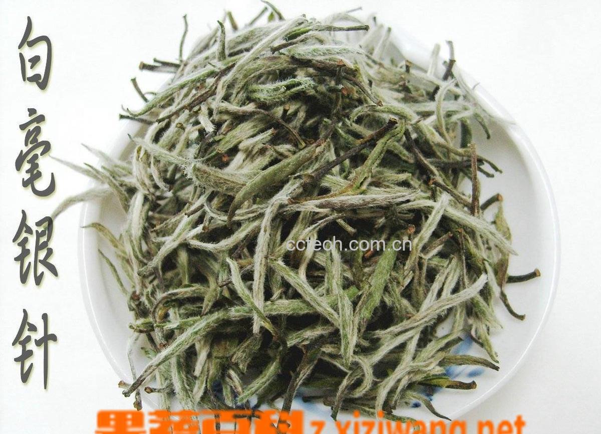 果蔬百科白茶的保健功效-0