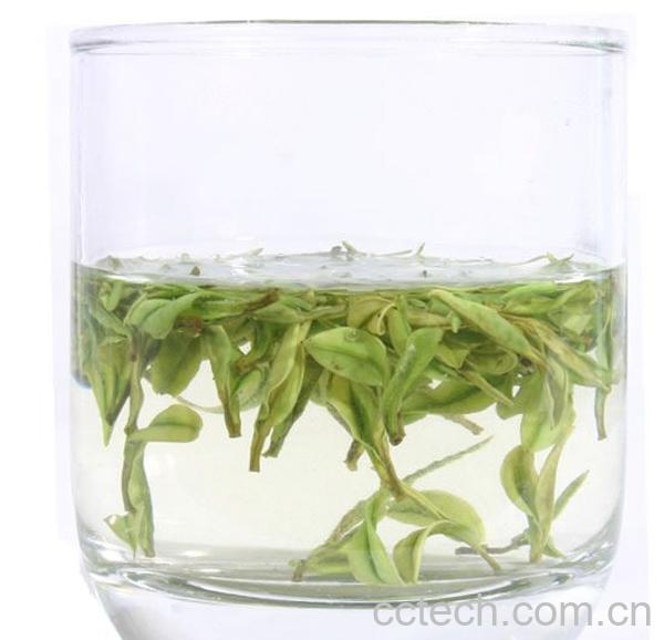 果蔬百科白茶的保存方法-0