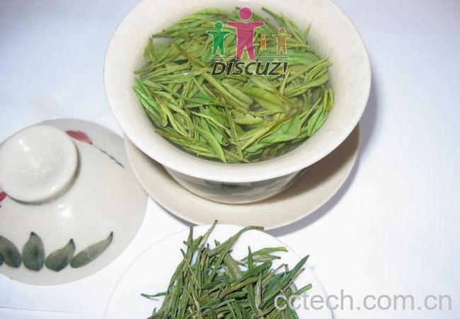 果蔬百科白茶的功效-0