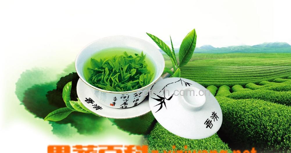 果蔬百科孕妇可以喝绿茶吗-0