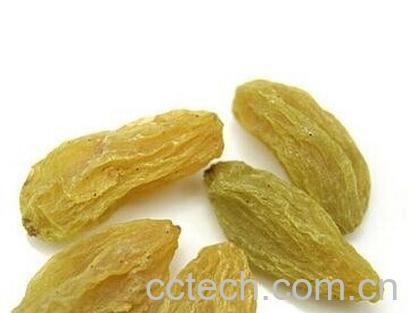 果蔬百科葡萄干-0