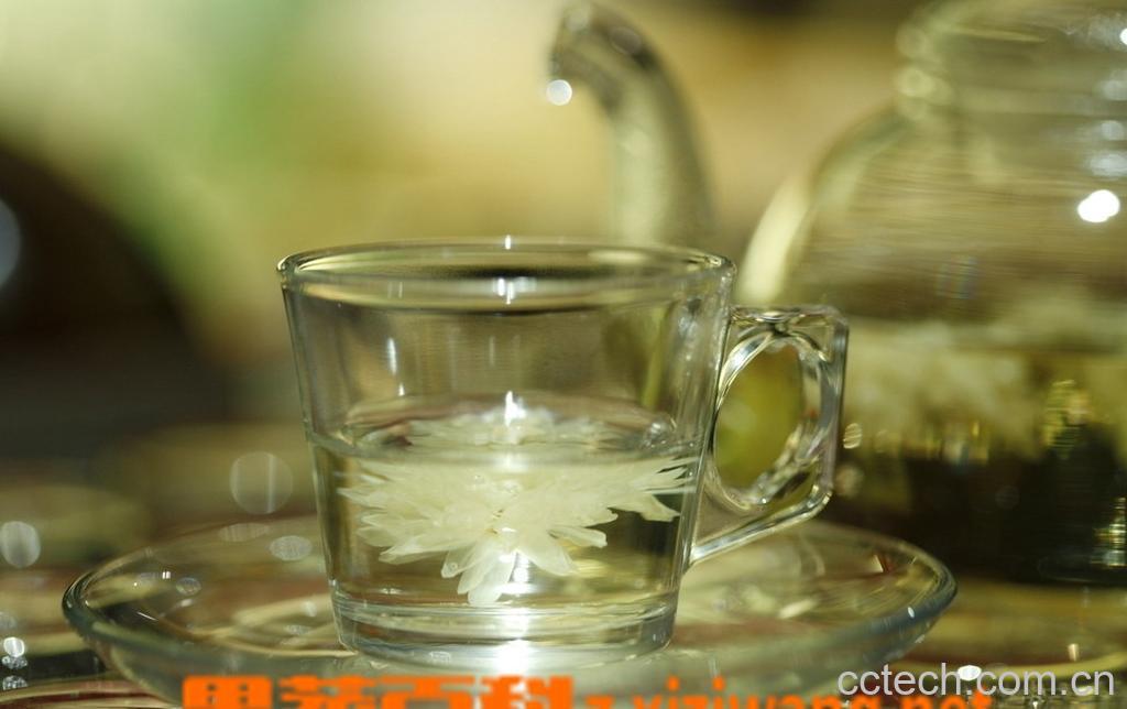 果蔬百科菊花茶-0