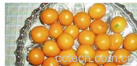 果蔬百科小橘子-0