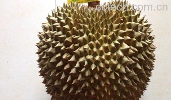 果蔬百科榴莲-0