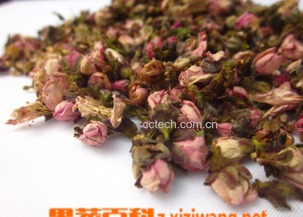 果蔬百科桃花茶-0