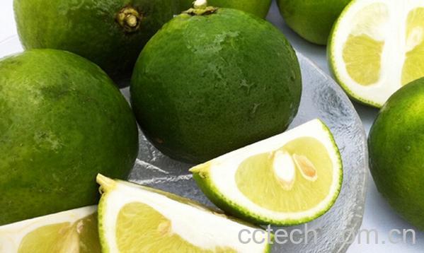 果蔬百科酸橙-0