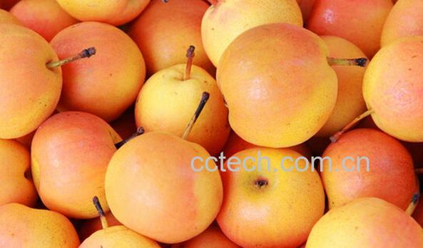 果蔬百科南国梨-0