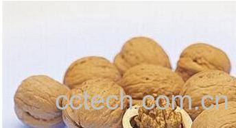 果蔬百科核桃-0