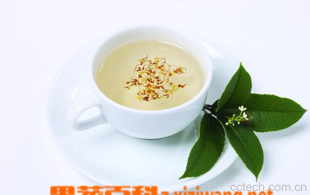 果蔬百科桂花茶-0