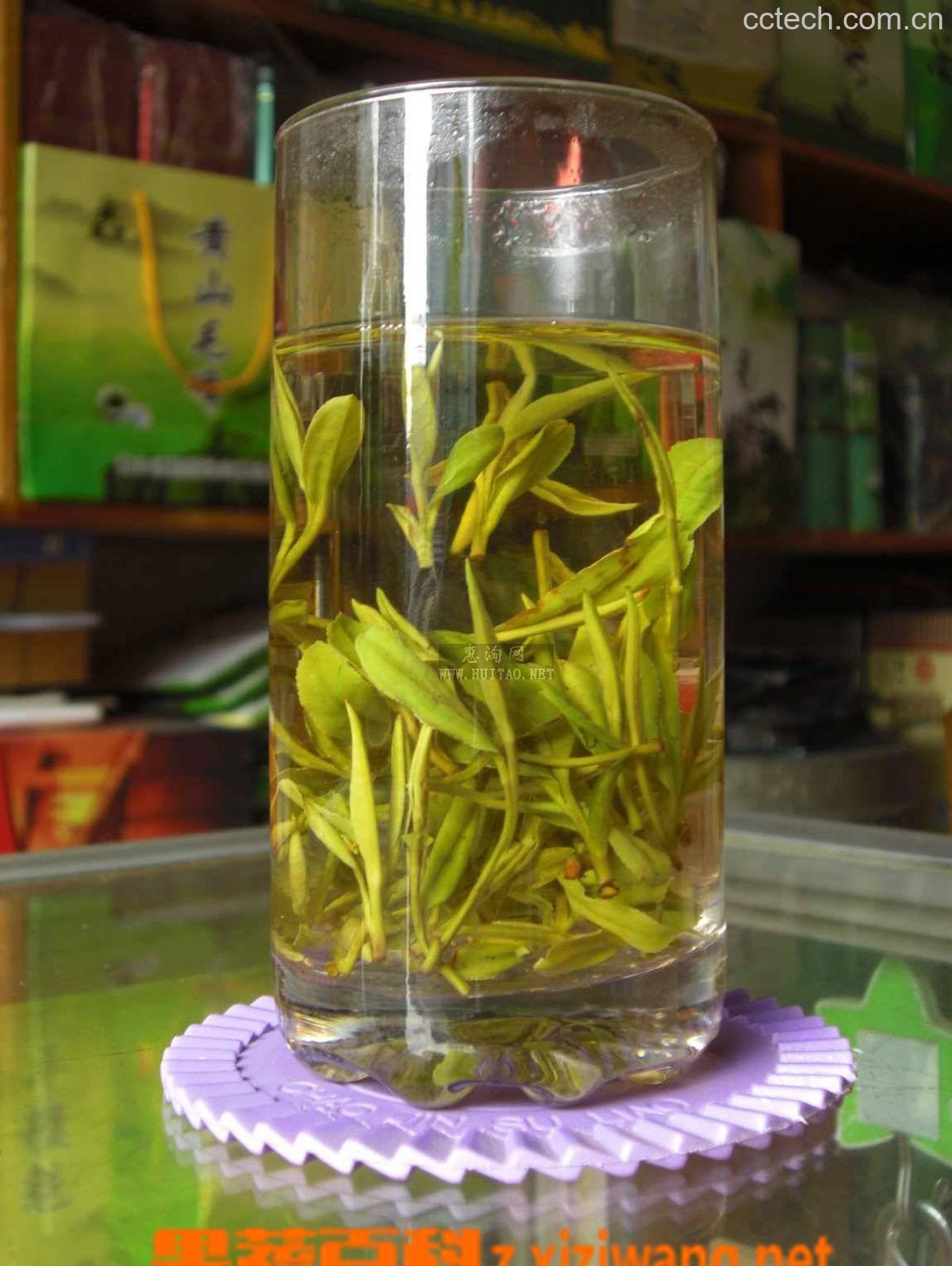 果蔬百科茶的种类-0