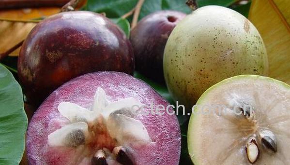 果蔬百科金星果-0