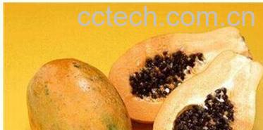 果蔬百科木瓜-0