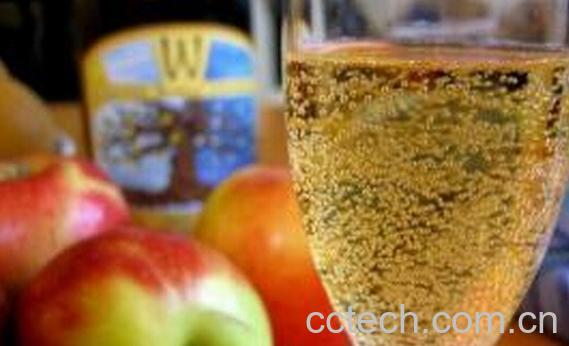 果蔬百科自制苹果酒-0