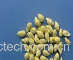 果蔬百科桔子籽-0