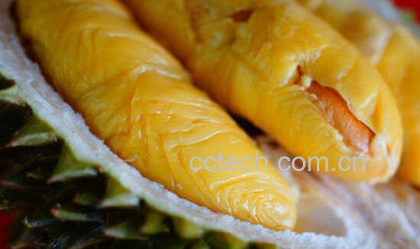 果蔬百科榴莲-0