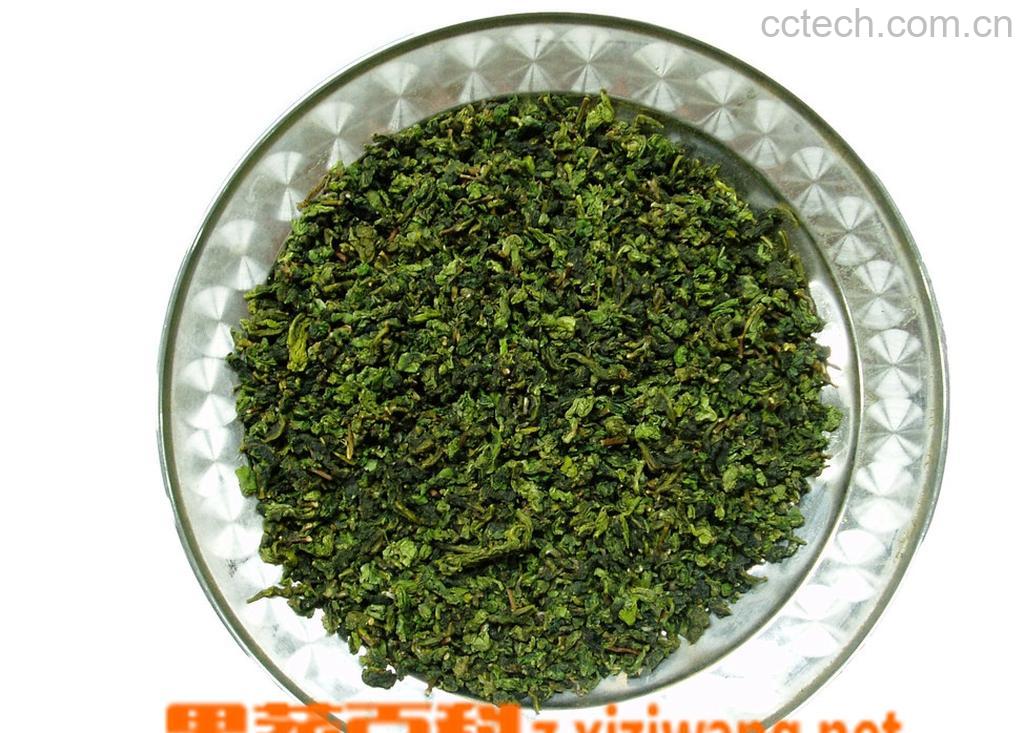 果蔬百科铁观音-0